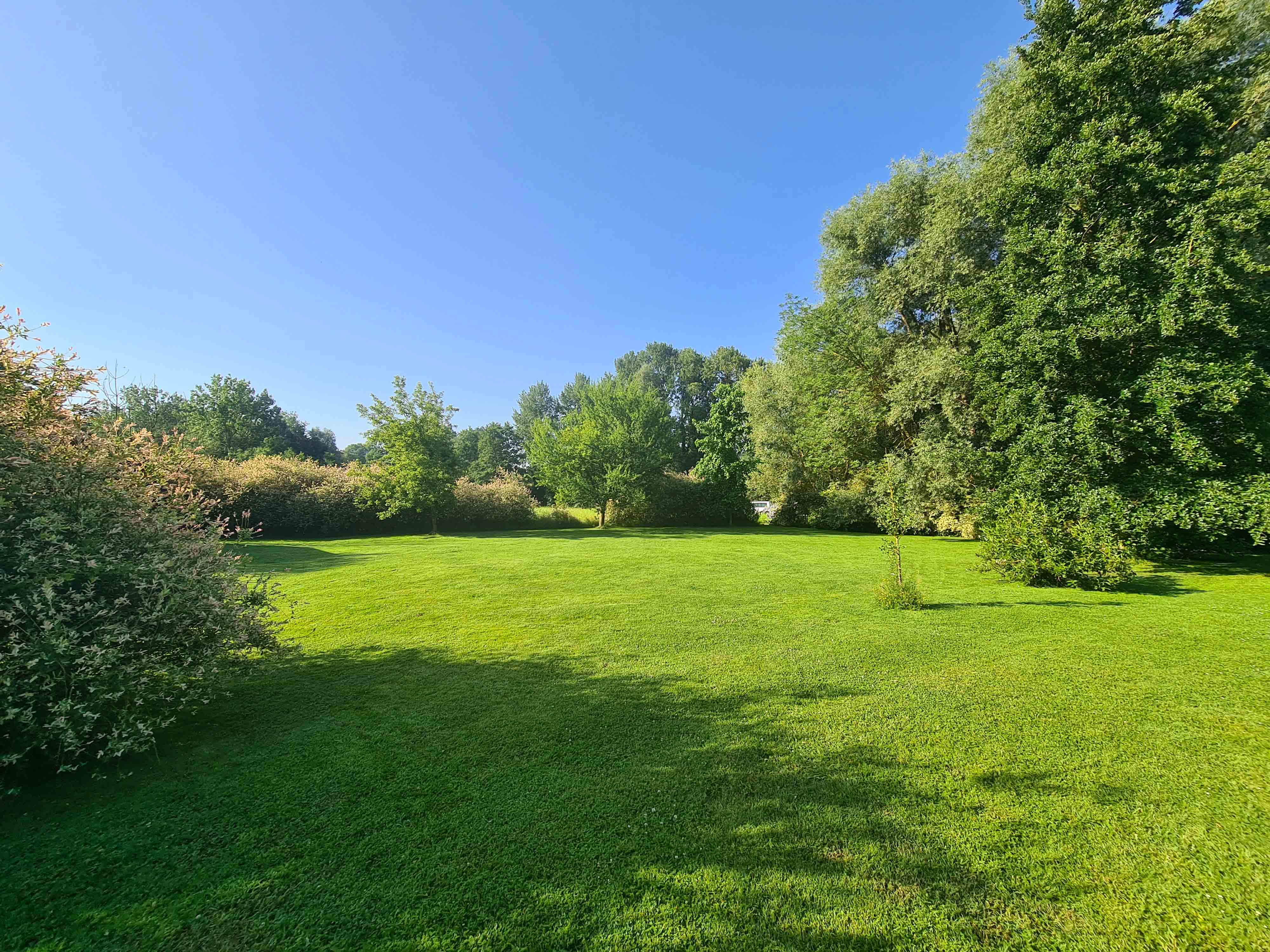 Pelouse verdoyante du jardin entourée d'arbres et de haies